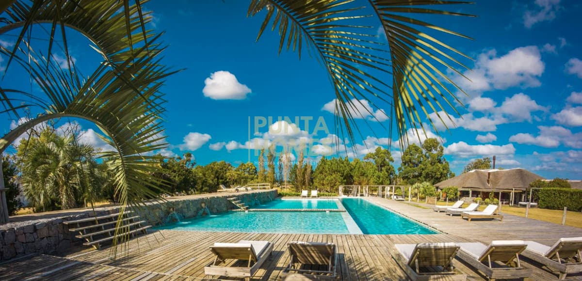 Punta Homes Inmobiliaria Terreno ID.3959 - Venta de Terreno 5000 m2 en la Barra, El Quijote, Punta del Este.