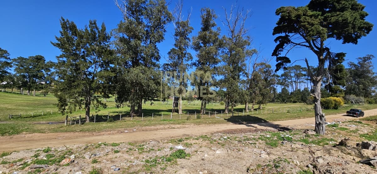 Punta Homes Inmobiliaria Terreno ID.3793 - - Para Proyecto - Venta de Terrenos frente a Club de Golf de Punta del Este.