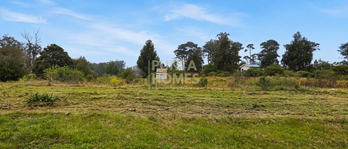 Punta Homes Inmobiliaria Terreno ID.3905 - Venta de terrenos desde 1100 m2 en Barrio Golf de Punta del Este.