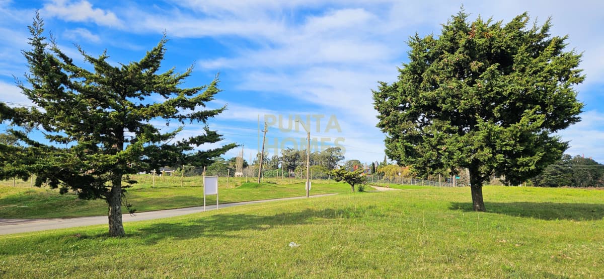 Punta Homes Inmobiliaria Terreno ID.3933 - Venta de 3 terrenos en Pedragosa Sierra, Punta del Este