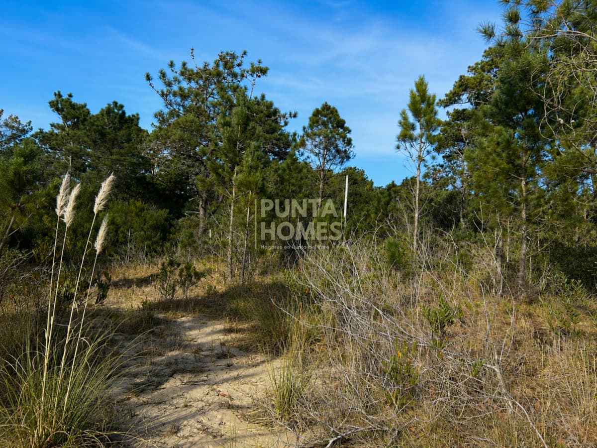 Punta Homes Inmobiliaria Terreno ID.3955 - Venta de terrenos en Santa Isabel de La Pedrera, Rocha.