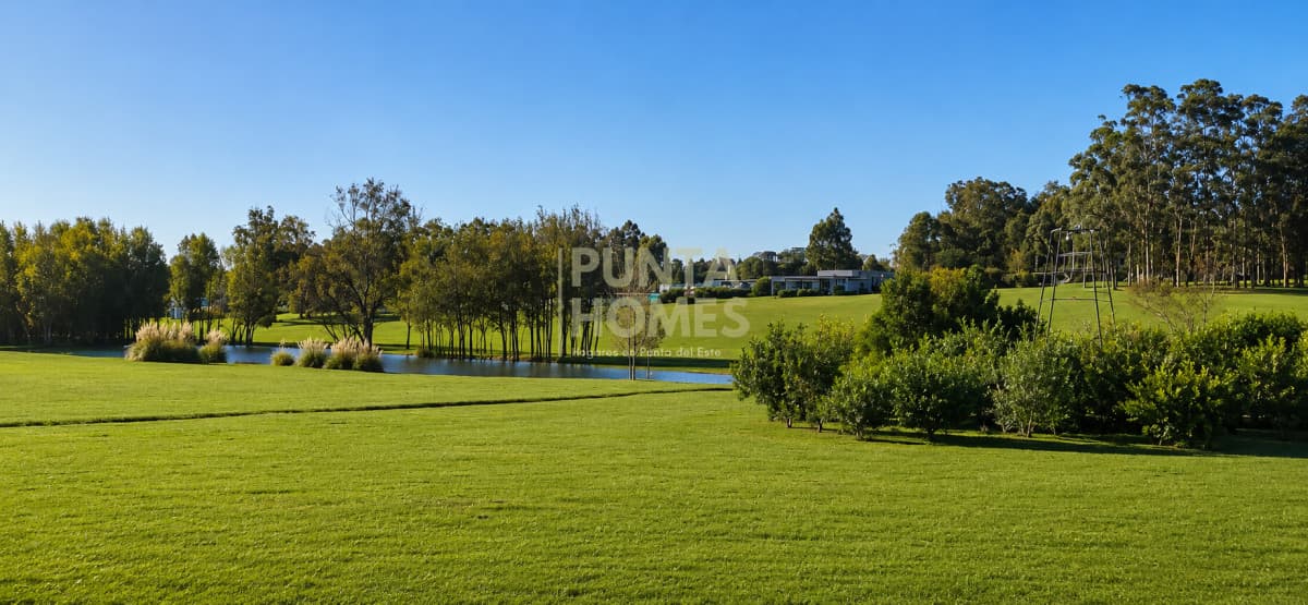 Punta Homes Inmobiliaria Terreno ID.3959 - Venta de Terreno 5000 m2 en la Barra, El Quijote, Punta del Este.