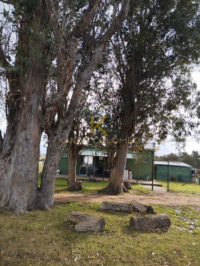 Chacra en venta en Ruta 39