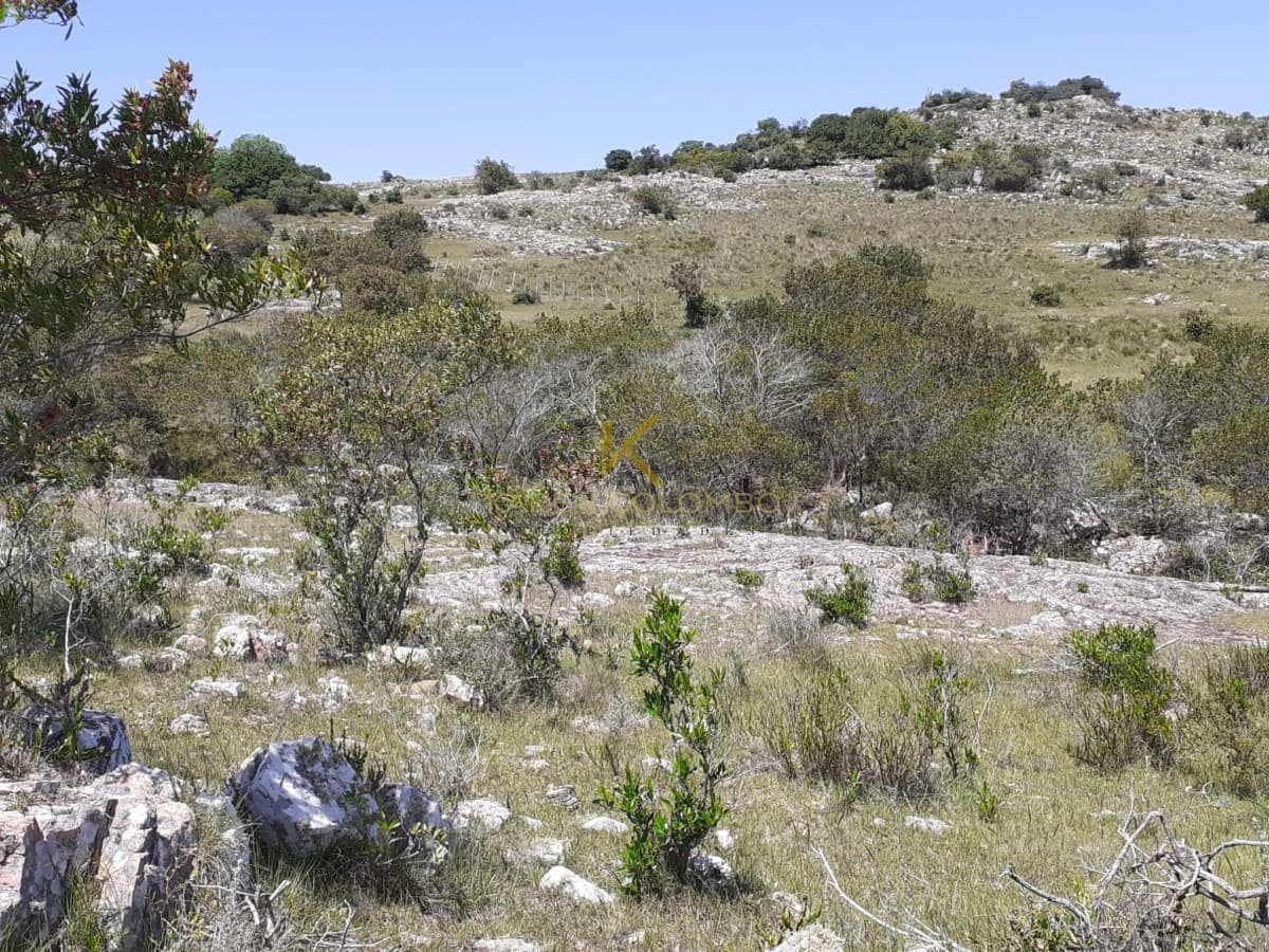 oportunidad chacras en maldonado ruta 39 km 38