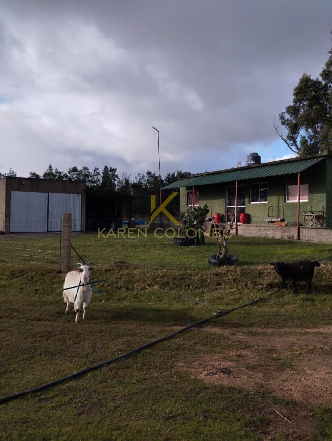 Chacra en venta en Ruta 39