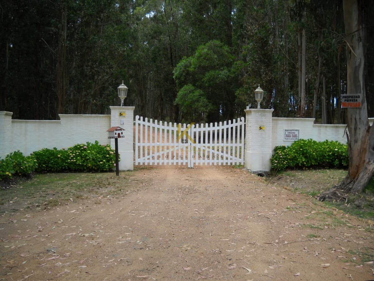 Chacra en venta, zona Laguna del Diario, Punta del Este