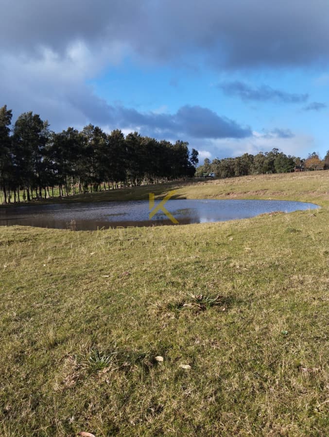 Chacra en venta en Ruta 39
