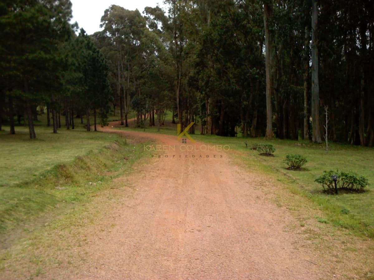 Chacra en venta, zona Laguna del Diario, Punta del Este