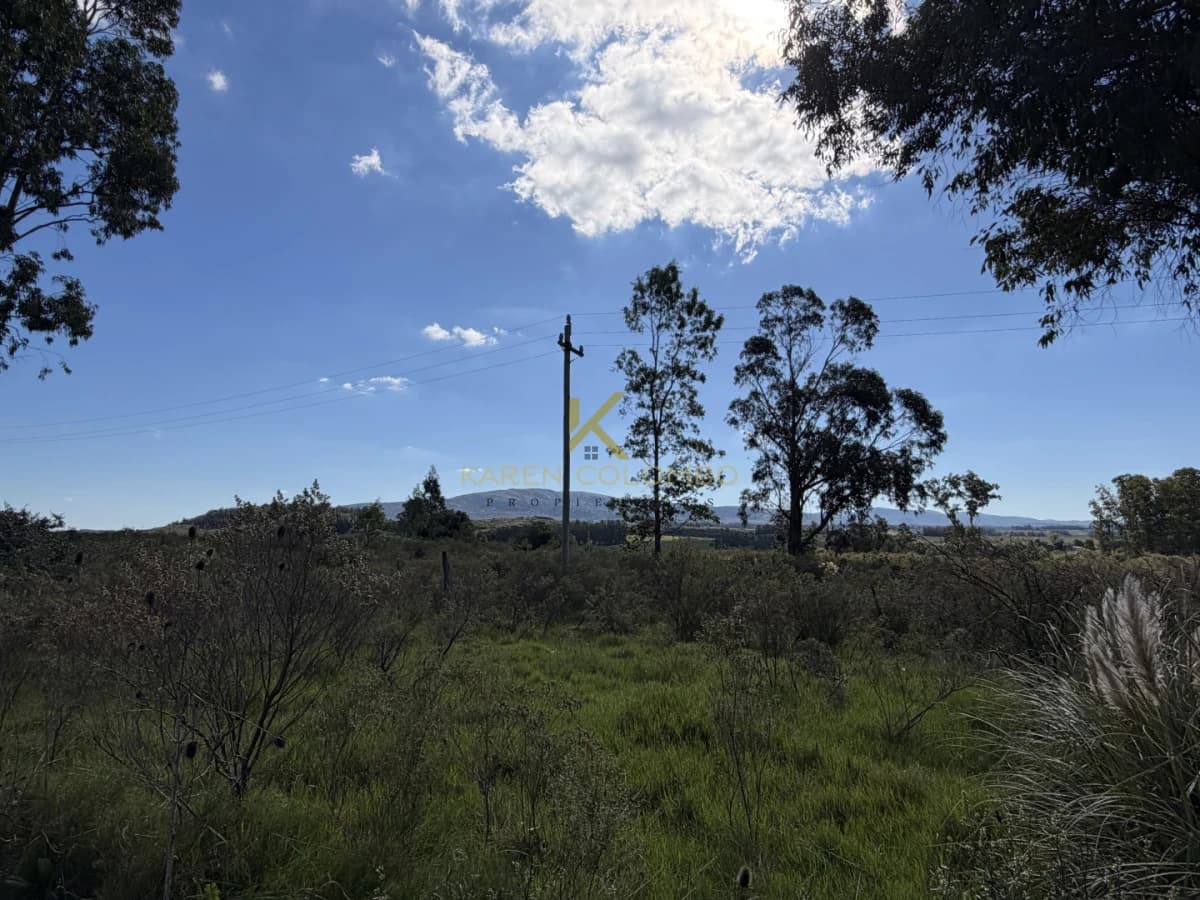 Campo en Venta en Maldonado