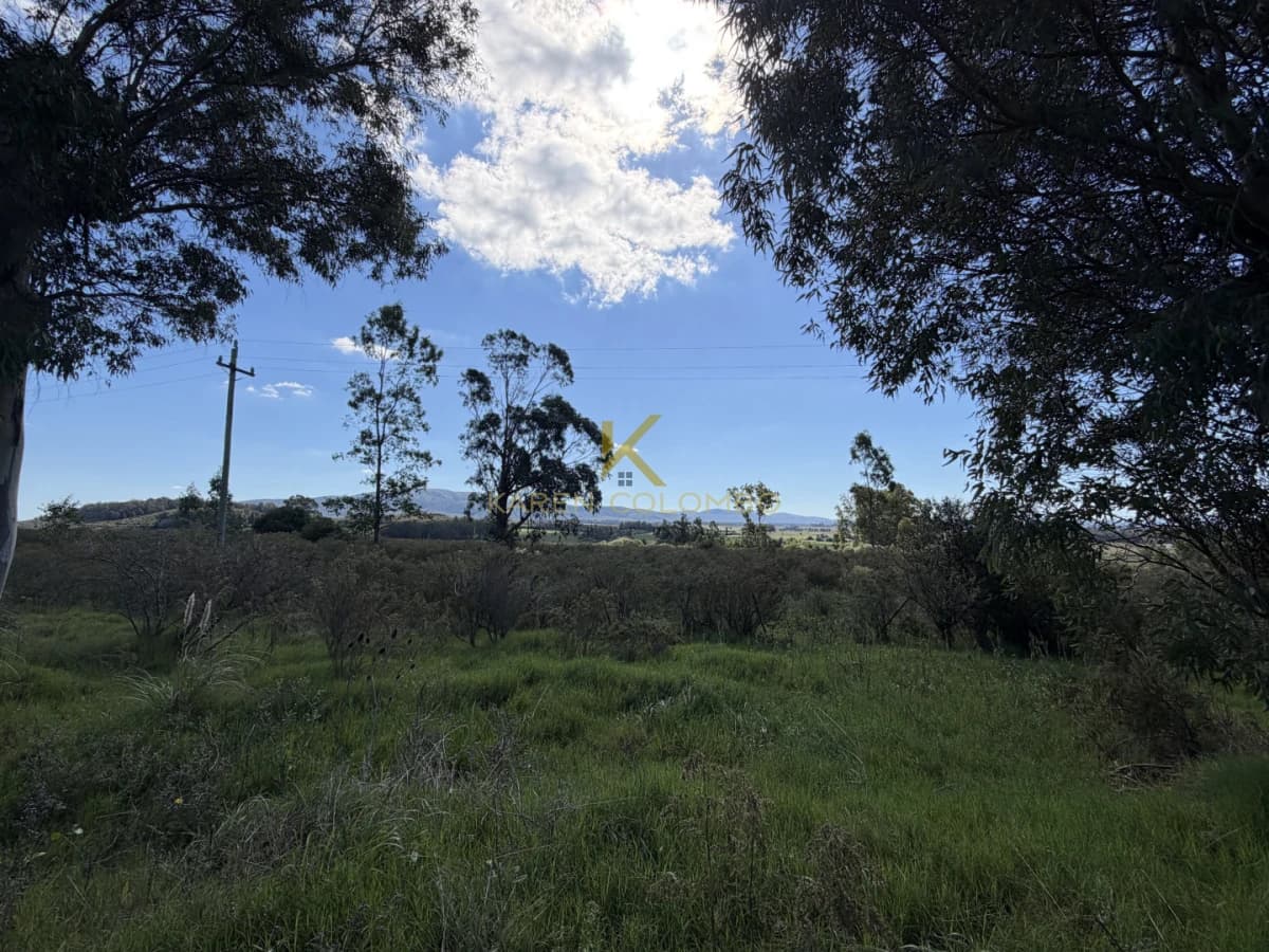 Campo en Venta en Maldonado