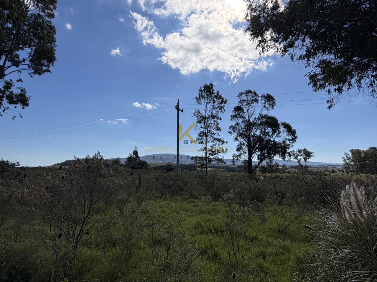 Campo en Venta en Maldonado