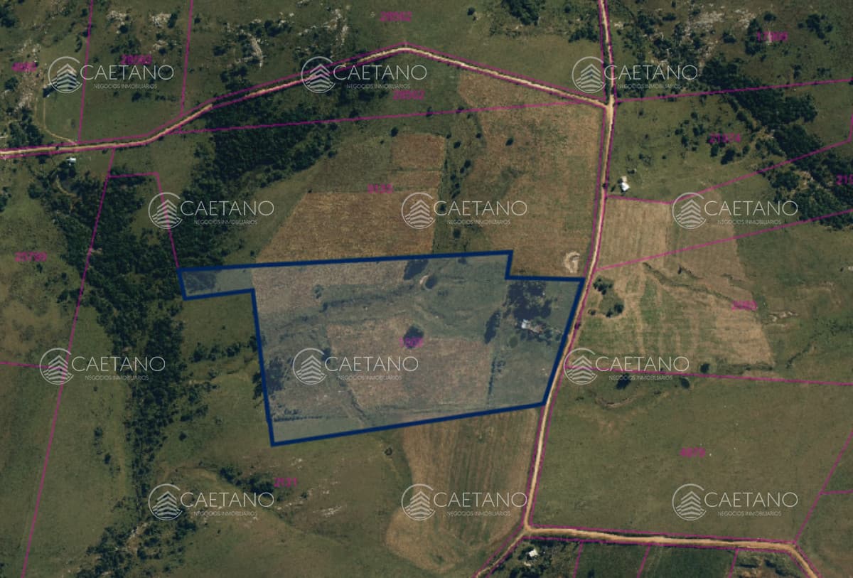 Chacra de 11 hectáreas sobre Ruta 39, Maldonado