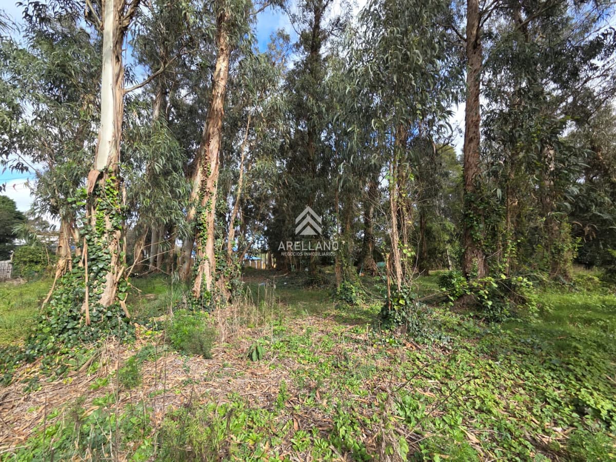 Terreno ID.6485 - Venta Terreno, el Jaguel 1.385 Mts2 Esquinero.