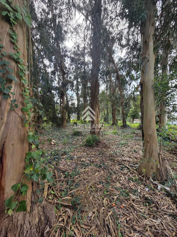 Terreno ID.6485 - Venta Terreno, el Jaguel 1.385 Mts2 Esquinero.