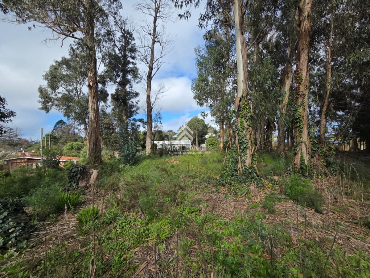 Terreno ID.6485 - Venta Terreno, el Jaguel 1.385 Mts2 Esquinero.
