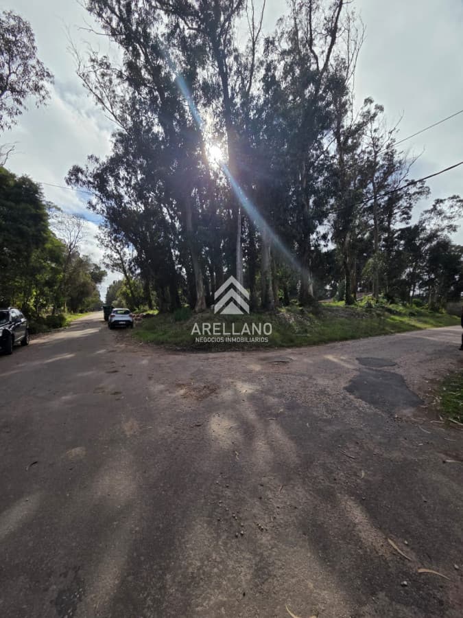 Terreno ID.6485 - Venta Terreno, el Jaguel 1.385 Mts2 Esquinero.