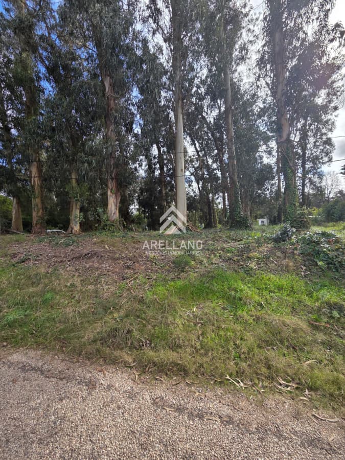 Terreno ID.6485 - Venta Terreno, el Jaguel 1.385 Mts2 Esquinero.