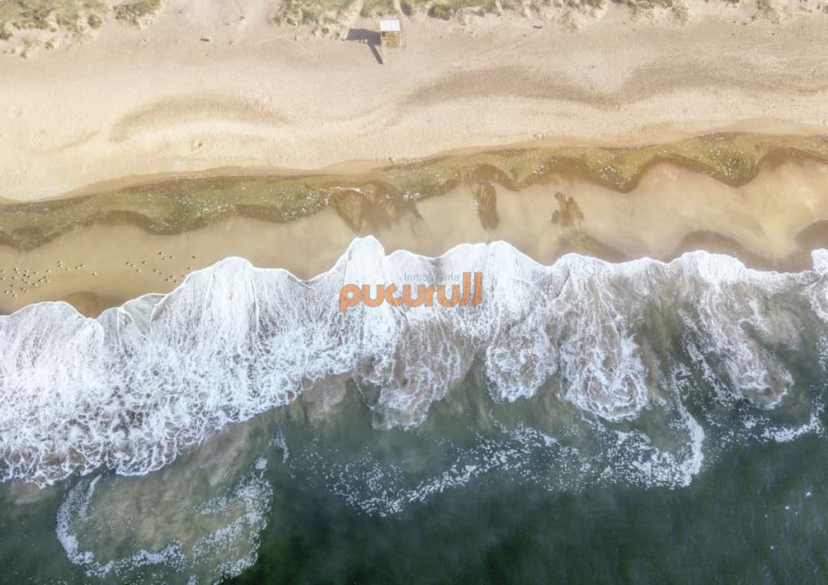 Excepcional Proyecto De Edificios En Grutas De La Ballena