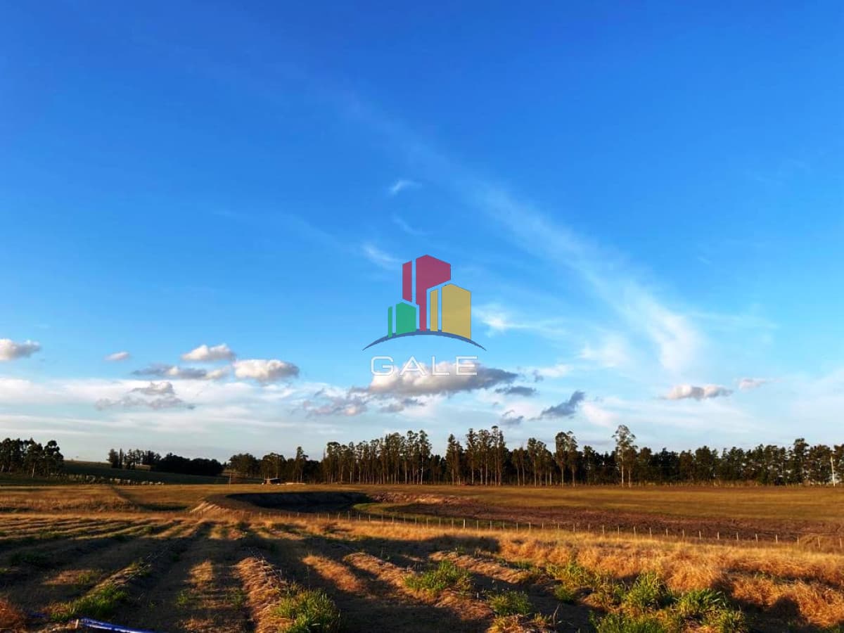 Chacra 5 Há Próxima A Camino Eguzquiza  -