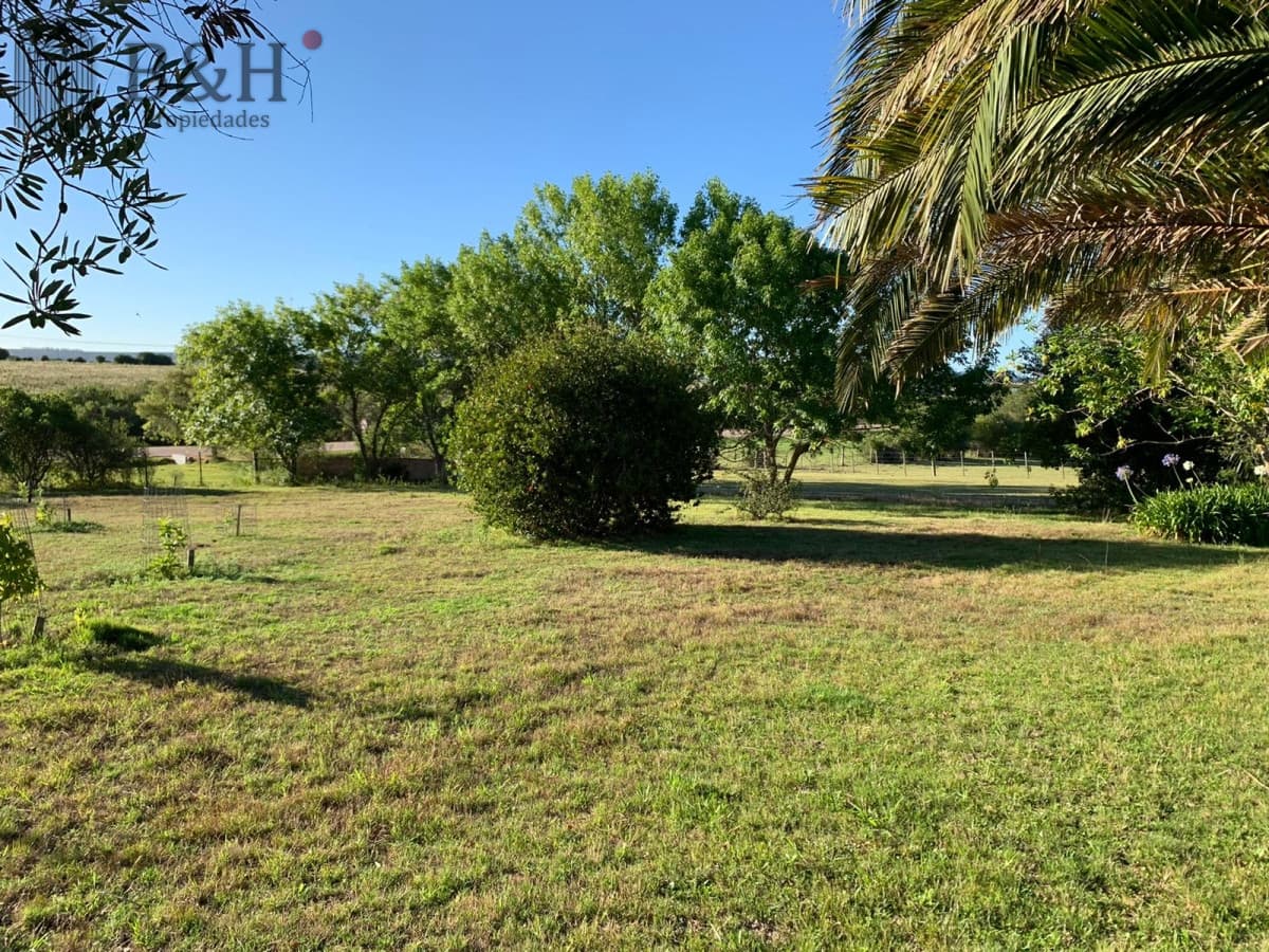 OPORTUNIDAD: Preciosa Chacra Con Casa sobre Ruta 39, San Carlos, Maldonado
