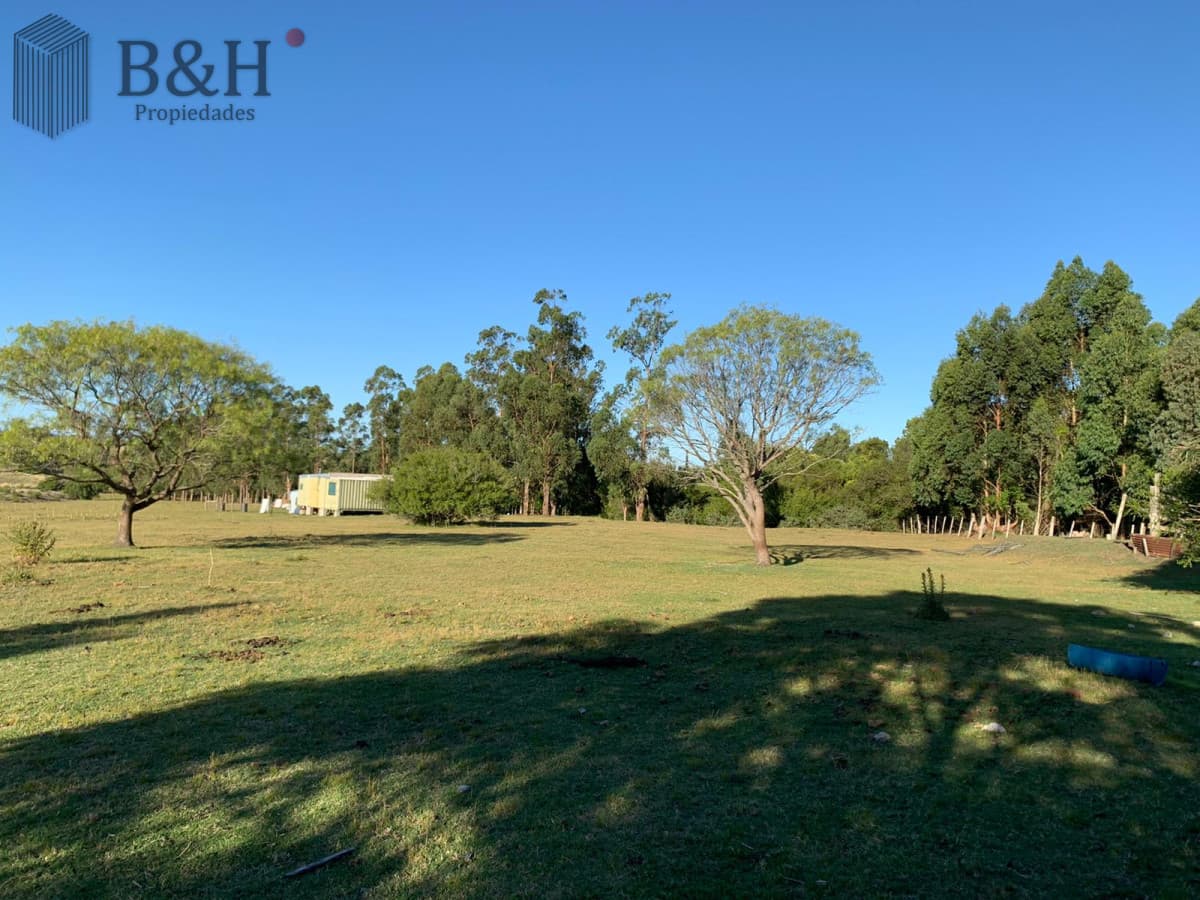 OPORTUNIDAD: Preciosa Chacra Con Casa sobre Ruta 39, San Carlos, Maldonado