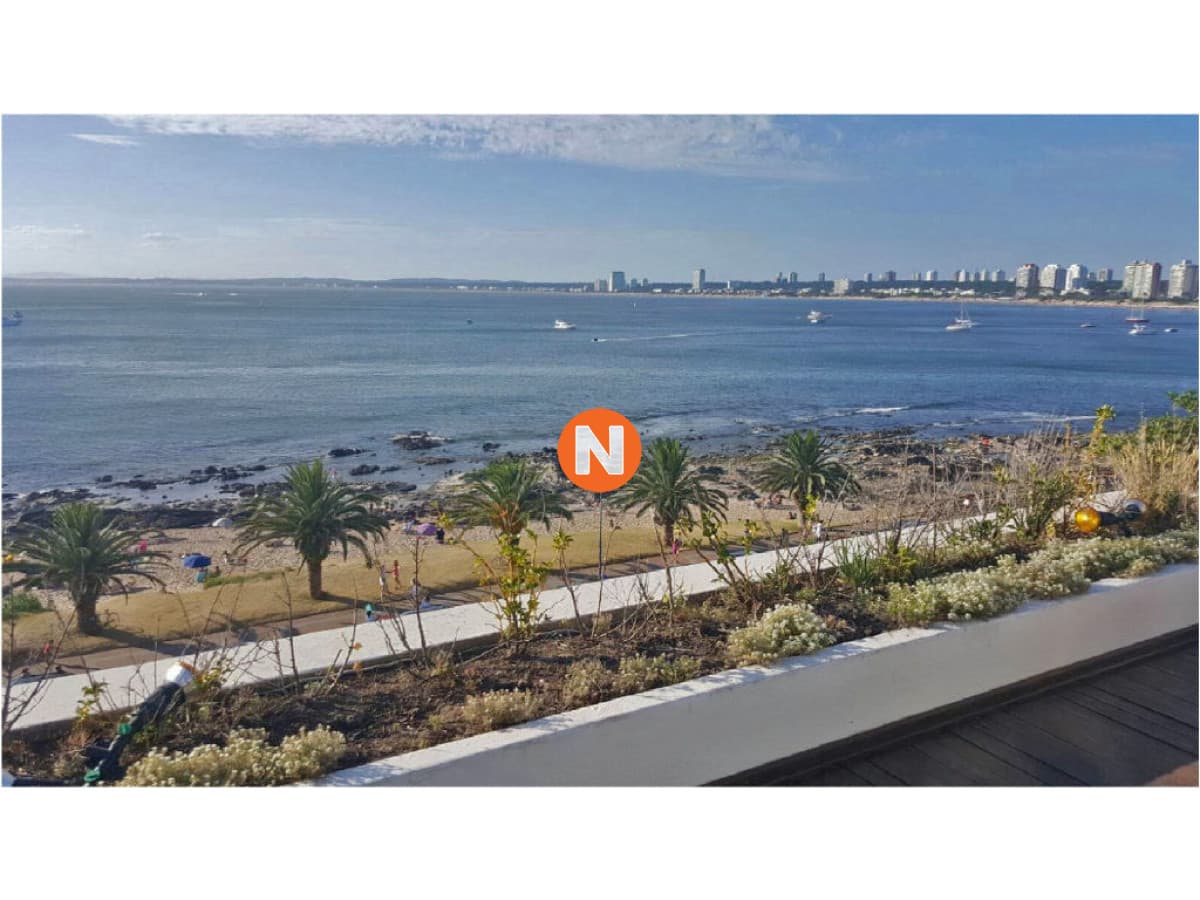 Espigón, Apartamento en Venta y Alquiler, Peninsula, Punta  ...