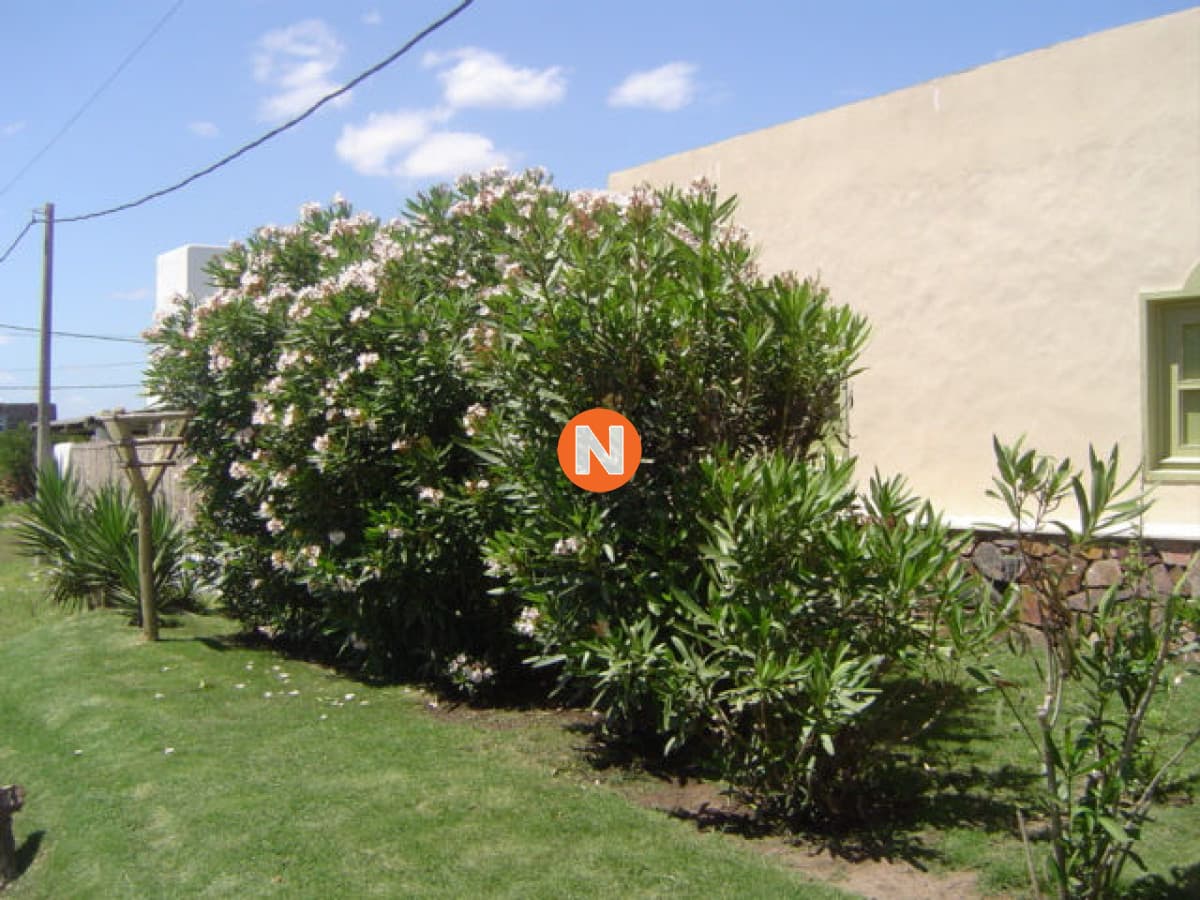 Casa en Venta y Alquiler, José Ignacio, Jose Ignacio, 4 Dor ...