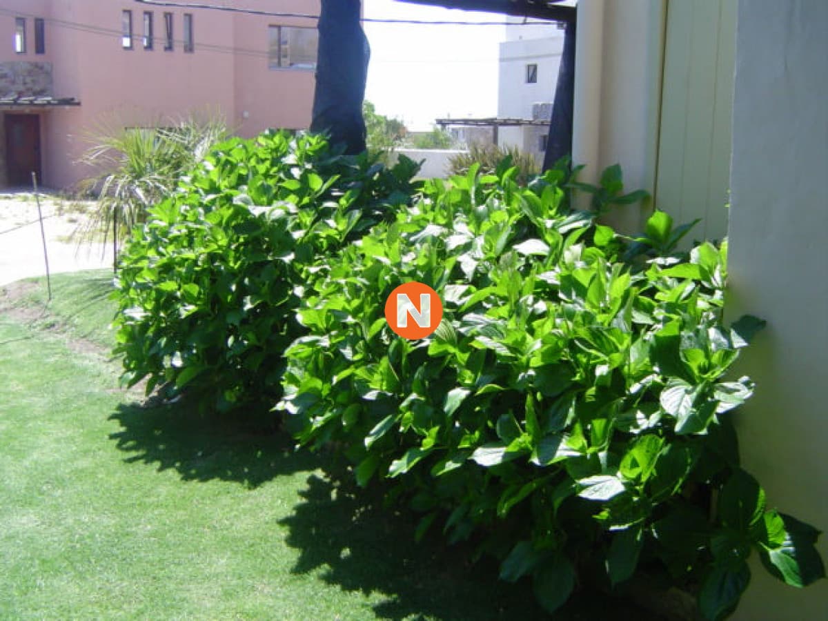 Casa en Venta y Alquiler, José Ignacio, Jose Ignacio, 4 Dor ...