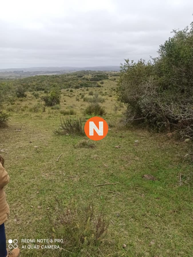 chacra venta  las cañas