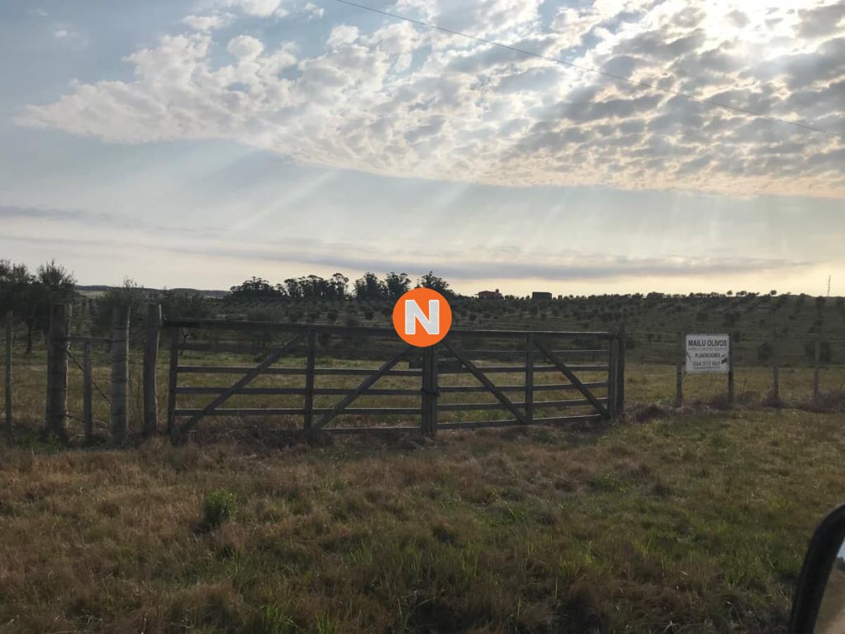 Chacra en Garzón en Venta