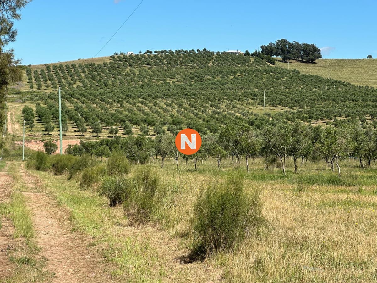 CHACRA 5 HECTAREAS SANTA LUCIA LAVALLEJA