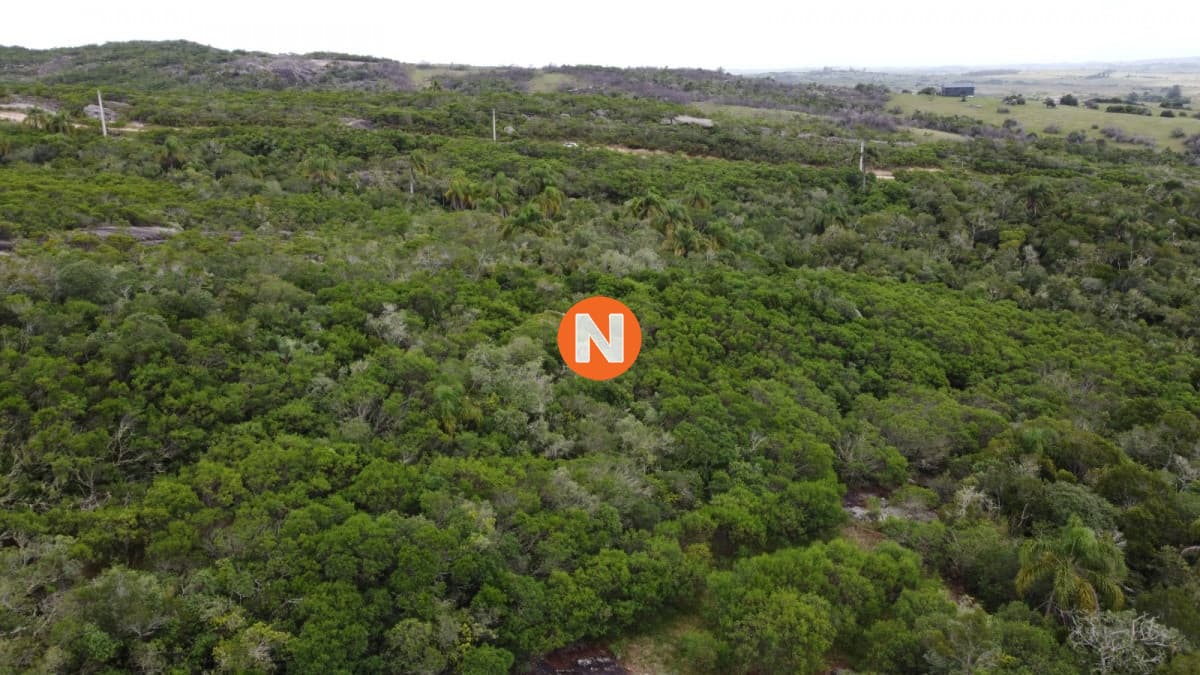 Chacra de 9 Hectareas y media en garzon
