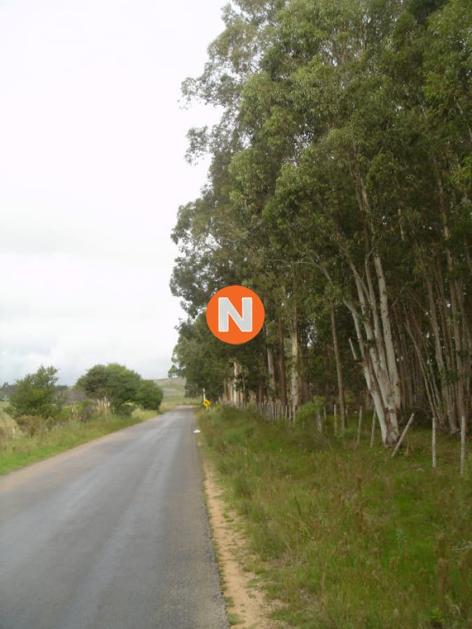 Chacra en Camino Eguzquiza - La Barra
