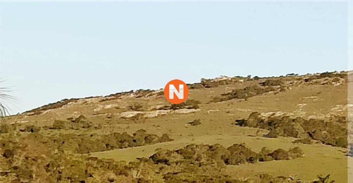 chacra venta  las cañas