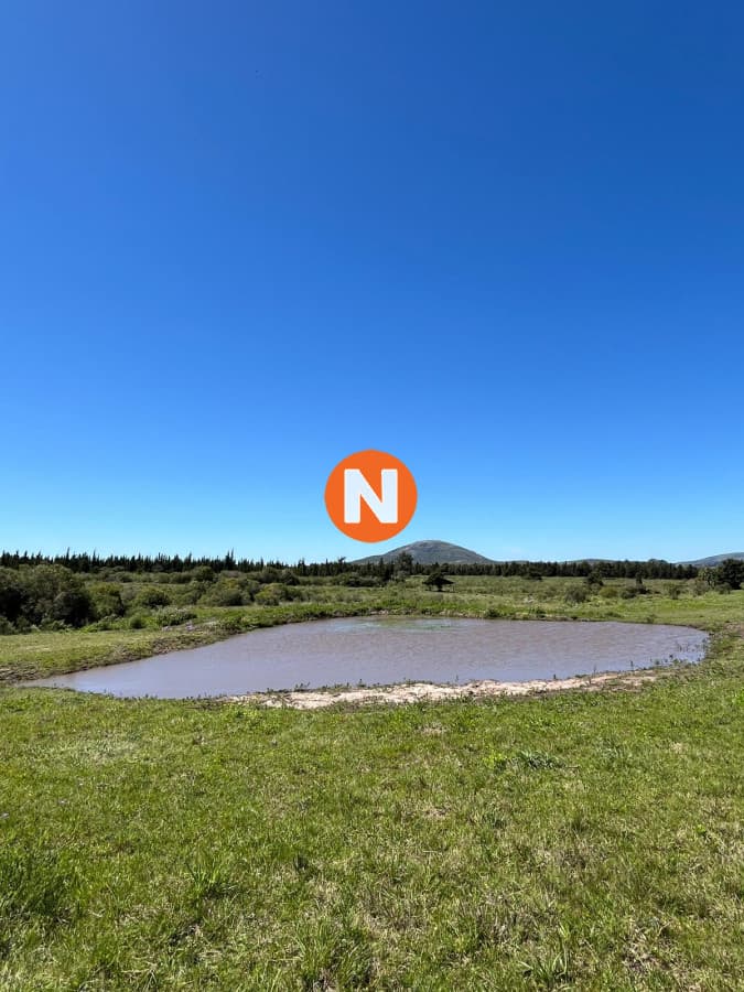 Chacras 3 Hectareas con Vistas a las Sierras