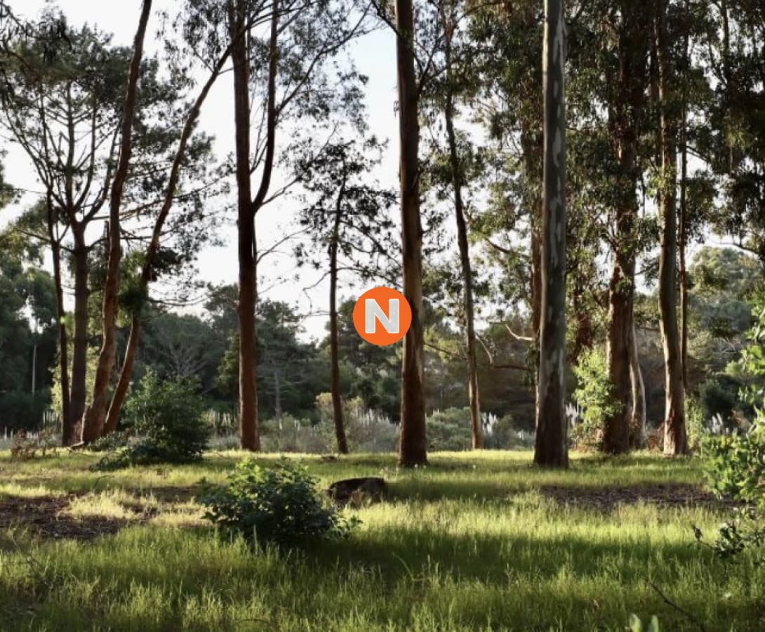 Terreno en venta en Reserva Montoya con posibilidad de finan ...
