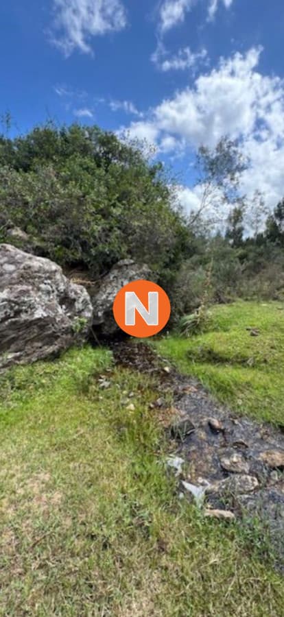 VENTA DE CAMPO, MALDONADO