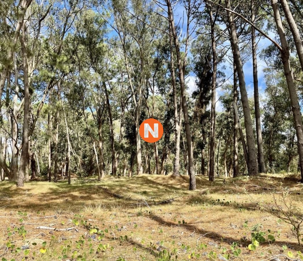 Terreno en venta en reserva montoya