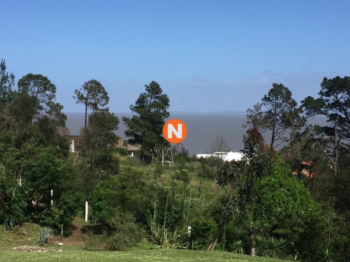 Terreno en punta ballena