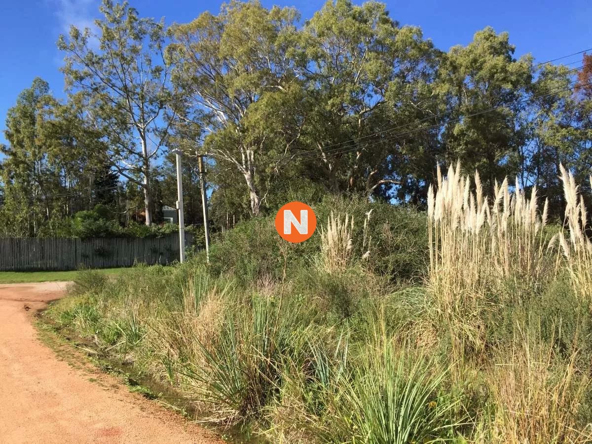Terreno en Maldonado, Bo. Córdoba
