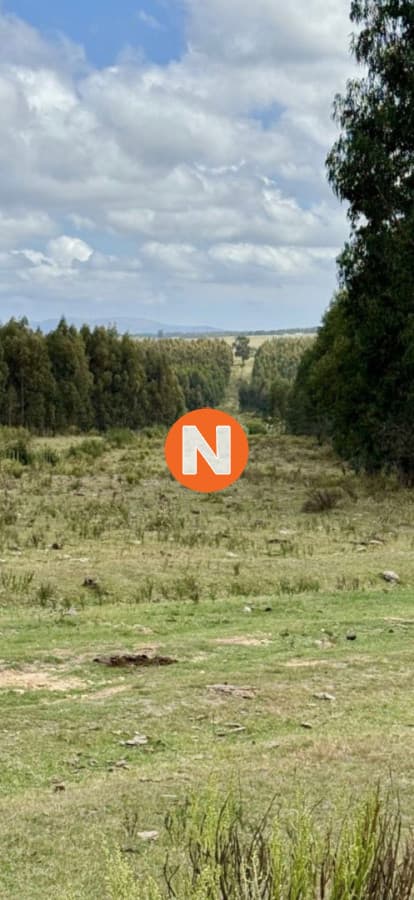VENTA DE CAMPO, MALDONADO