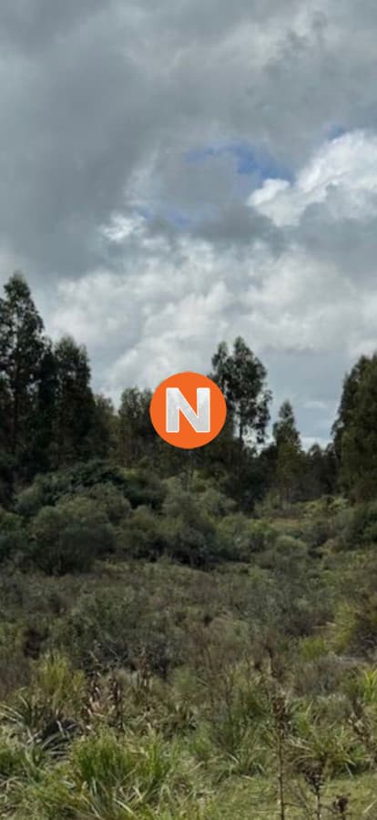 VENTA DE CAMPO, MALDONADO