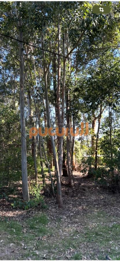Terreno en la Juanita