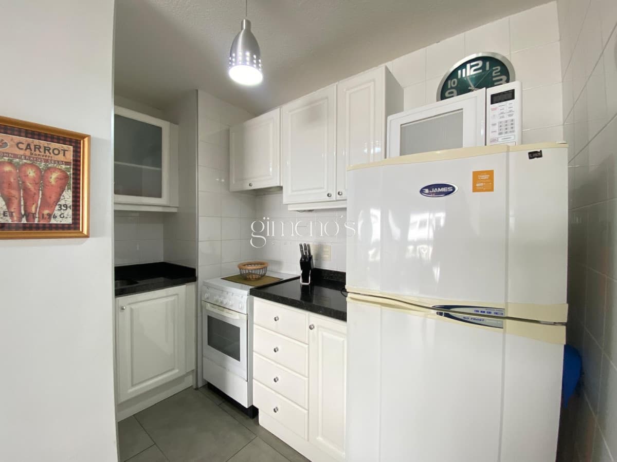 Apartamento 1 Dormitorio y medio en Playa Mansa - Punta del Este