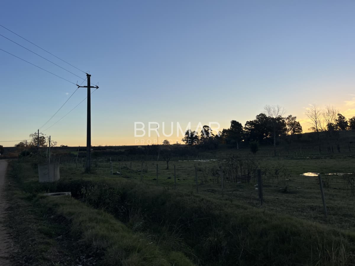 Chacra en venta en zona Rural de Paysandu