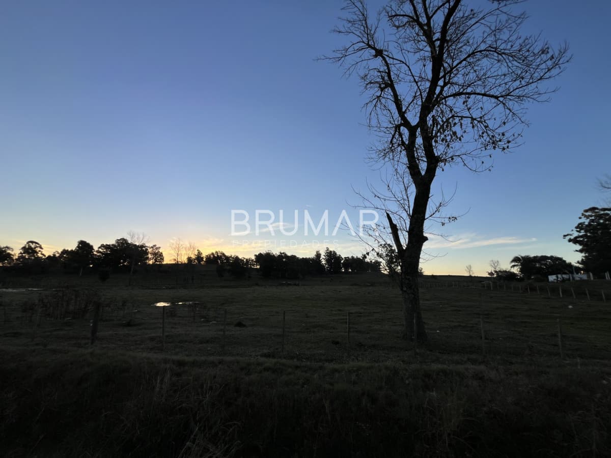 Chacra en venta en zona Rural de Paysandu