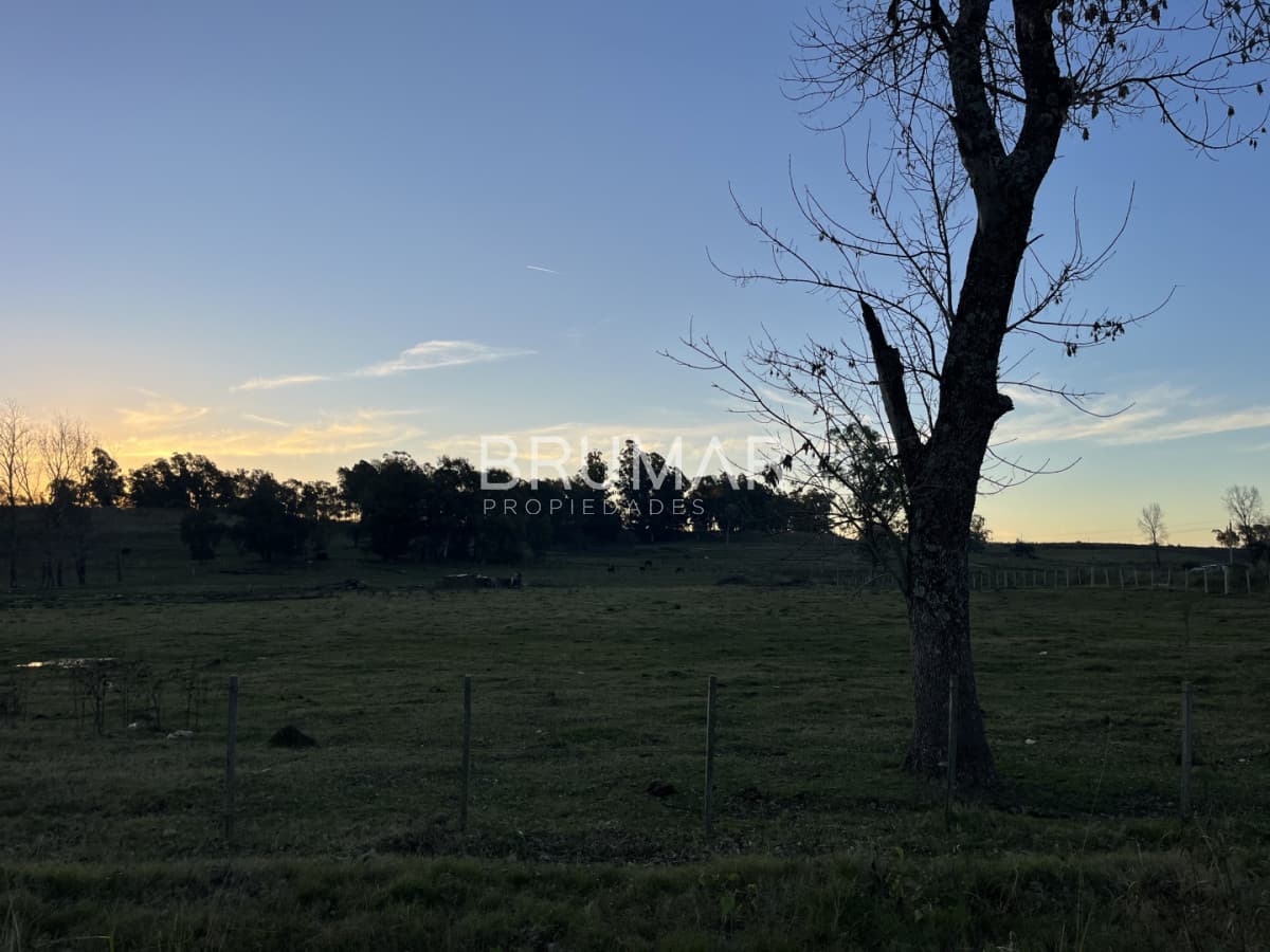 Chacra en venta en zona Rural de Paysandu