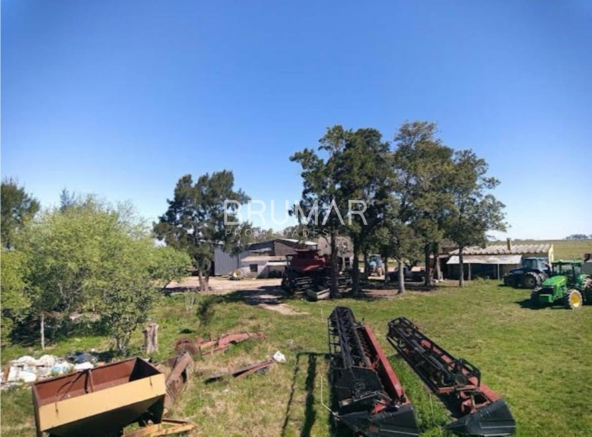 Venta campo Uruguay treinta y tres
