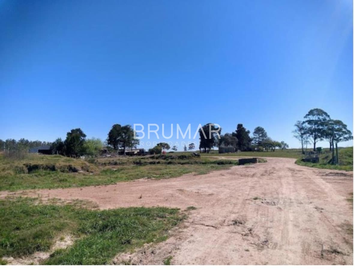 Venta campo Uruguay treinta y tres