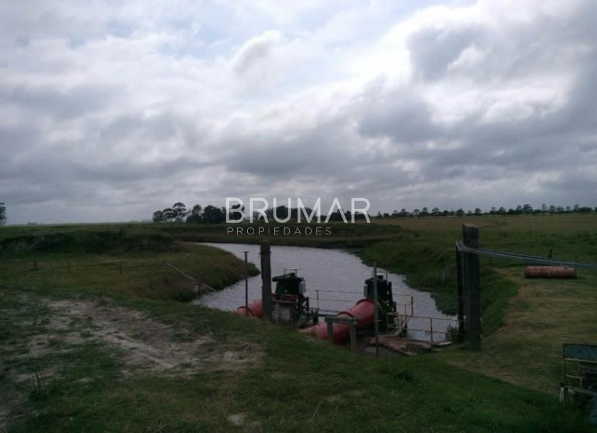 Venta campo Uruguay treinta y tres
